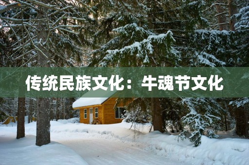 传统民族文化：牛魂节文化