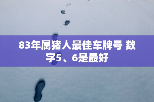 83年属猪人最佳车牌号 数字5、6是最好