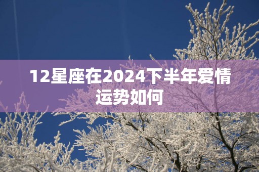 12星座在2025下半年爱情运势如何