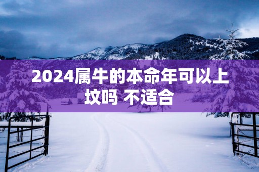 2025属牛的本命年可以上坟吗 不适合