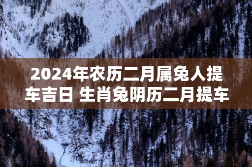 2025年农历二月属兔人提车吉日 生肖兔阴历二月提车好日子