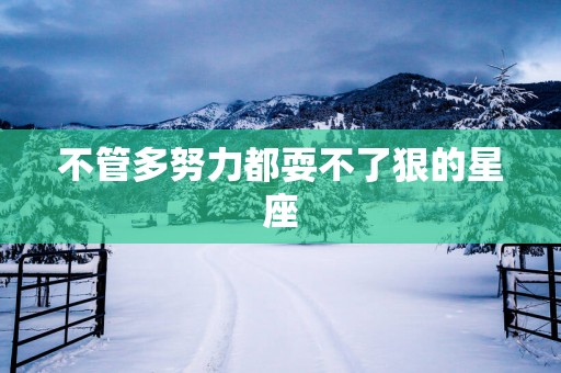 不管多努力都耍不了狠的星座