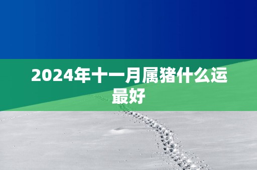 2025年十一月属猪什么运最好