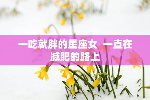 一吃就胖的星座女  一直在减肥的路上