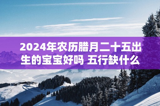 2025年农历腊月二十五出生的宝宝好吗 五行缺什么