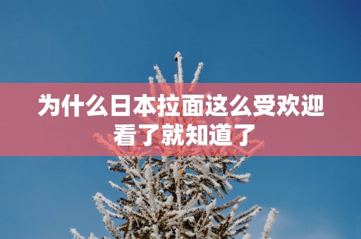 为什么日本拉面这么受欢迎 看了就知道了
