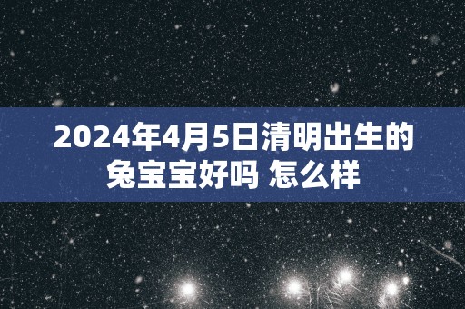 2025年4月5日清明出生的兔宝宝好吗 怎么样
