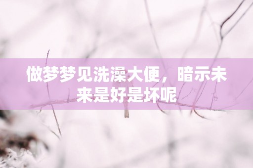 做梦梦见洗澡大便，暗示未来是好是坏呢