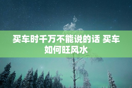 买车时千万不能说的话 买车如何旺风水