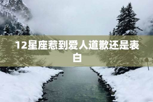 12星座惹到爱人道歉还是表白