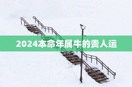2025本命年属牛的贵人运