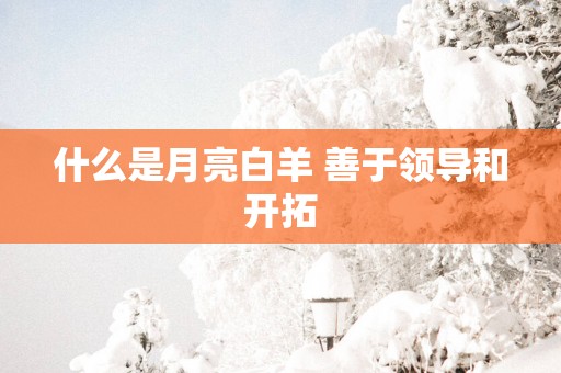 什么是月亮白羊 善于领导和开拓