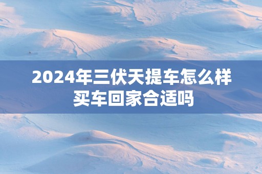 2025年三伏天提车怎么样 买车回家合适吗