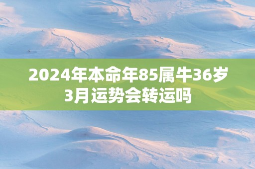 2025年本命年85属牛36岁3月运势会转运吗