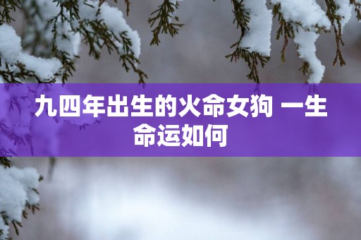 九四年出生的火命女狗 一生命运如何