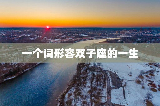一个词形容双子座的一生