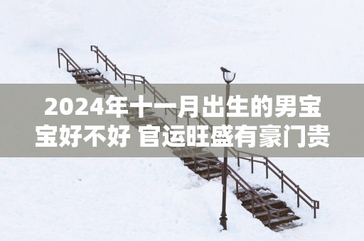 2025年十一月出生的男宝宝好不好 官运旺盛有豪门贵人相助