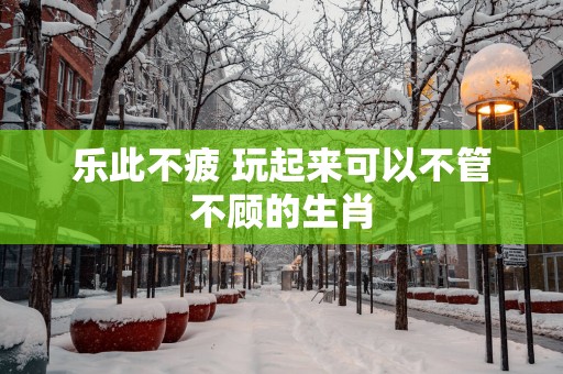 乐此不疲 玩起来可以不管不顾的生肖