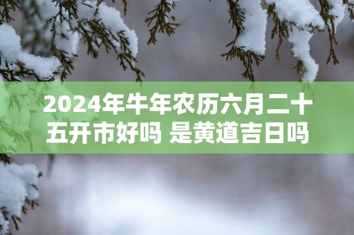 2025年蛇年农历六月二十五开市好吗 是黄道吉日吗