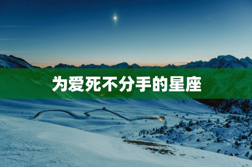 为爱死不分手的星座