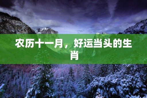 农历十一月，好运当头的生肖