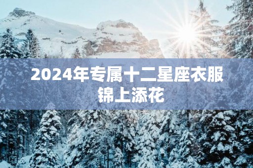 2025年专属十二星座衣服  锦上添花