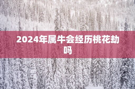2025年属牛会经历桃花劫吗