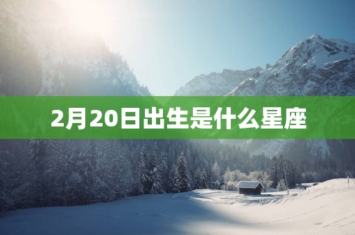 2月20日出生是什么星座