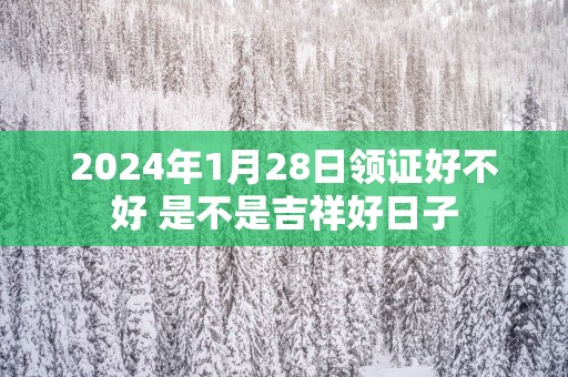 2025年1月28日领证好不好 是不是吉祥好日子