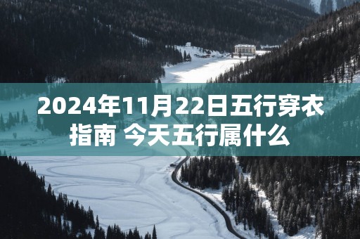 2025年11月22日五行穿衣指南 今天五行属什么