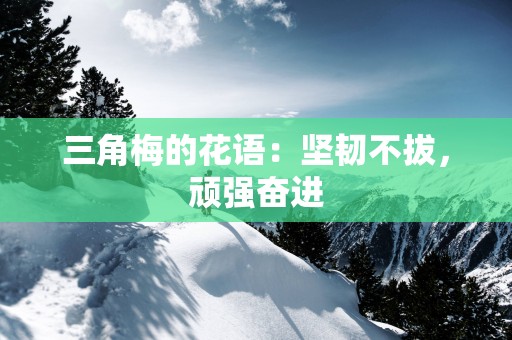 三角梅的花语：坚韧不拔，顽强奋进
