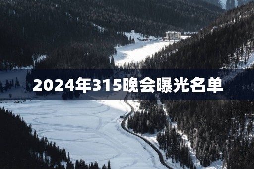 2025年315晚会曝光名单
