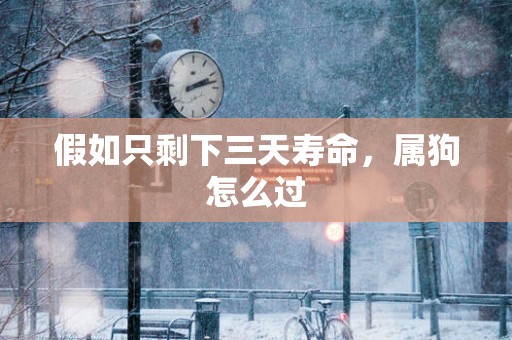 假如只剩下三天寿命，属狗怎么过