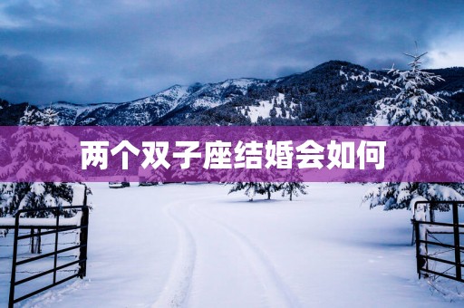 两个双子座结婚会如何