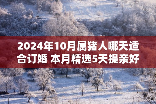 2024年10月属猪人哪天适合订婚 本月精选5天提亲好日子