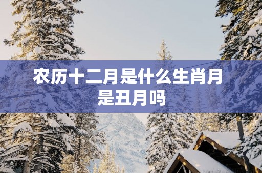 农历十二月是什么生肖月 是丑月吗