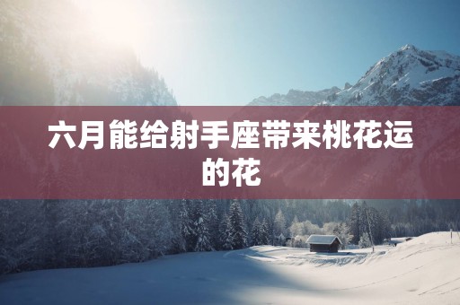 六月能给射手座带来桃花运的花