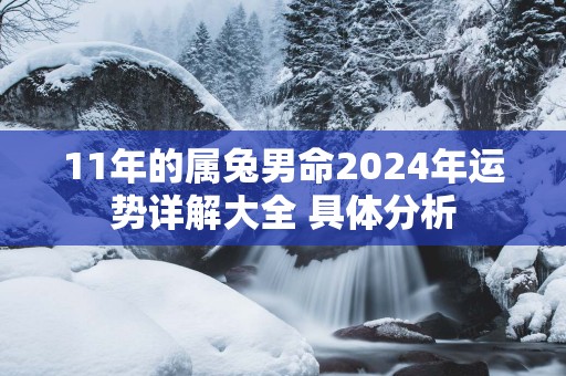 11年的属兔男命2025年运势详解大全 具体分析