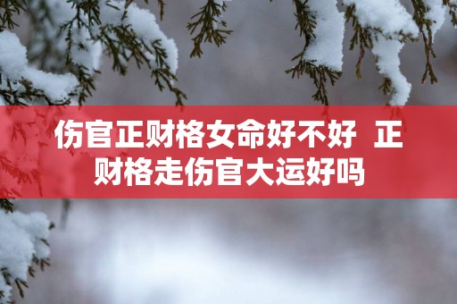 伤官正财格女命好不好  正财格走伤官大运好吗