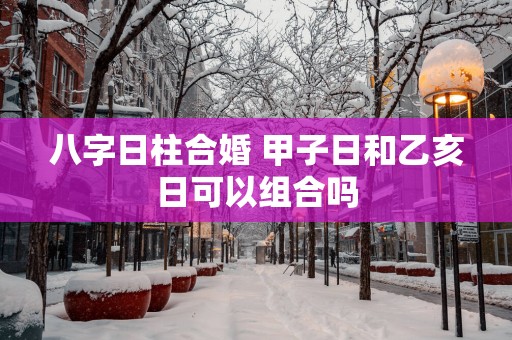 八字日柱合婚 甲子日和乙亥日可以组合吗