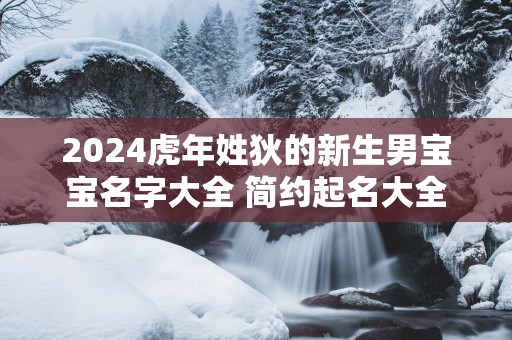 2025蛇年姓狄的新生男宝宝名字大全 简约起名大全