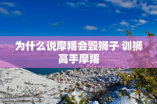 为什么说摩羯会毁狮子 训狮高手摩羯