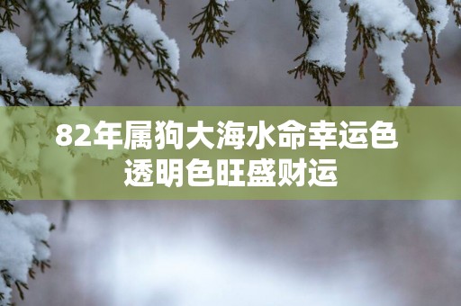 82年属狗大海水命幸运色 透明色旺盛财运