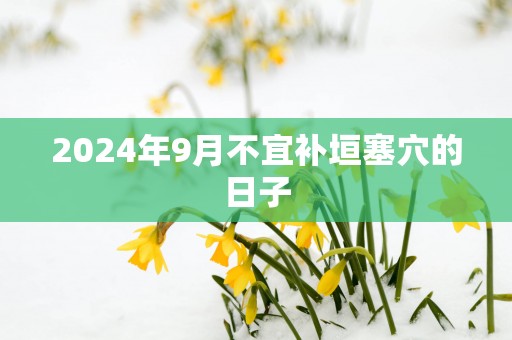2025年9月不宜补垣塞穴的日子