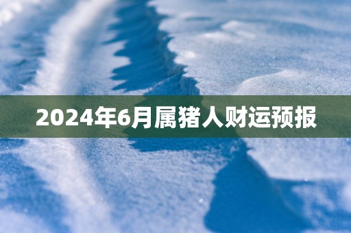2025年6月属猪人财运预报