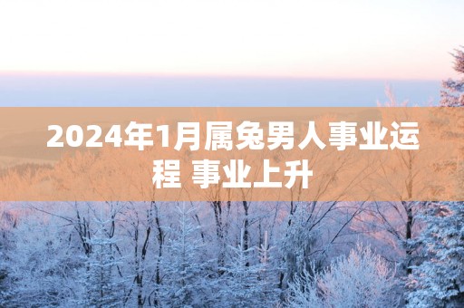 2025年1月属兔男人事业运程 事业上升