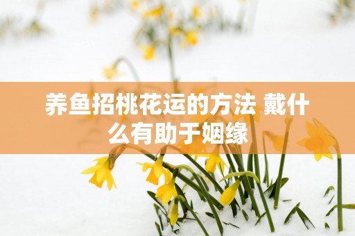 养鱼招桃花运的方法 戴什么有助于姻缘