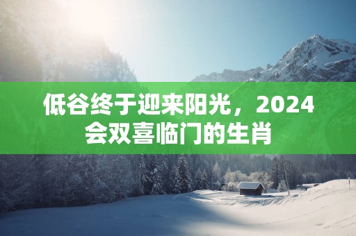 低谷终于迎来阳光，2025会双喜临门的生肖