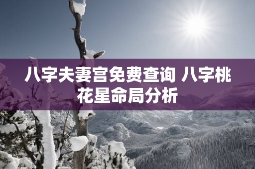 八字夫妻宫免费查询 八字桃花星命局分析