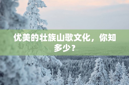 优美的壮族山歌文化，你知多少？